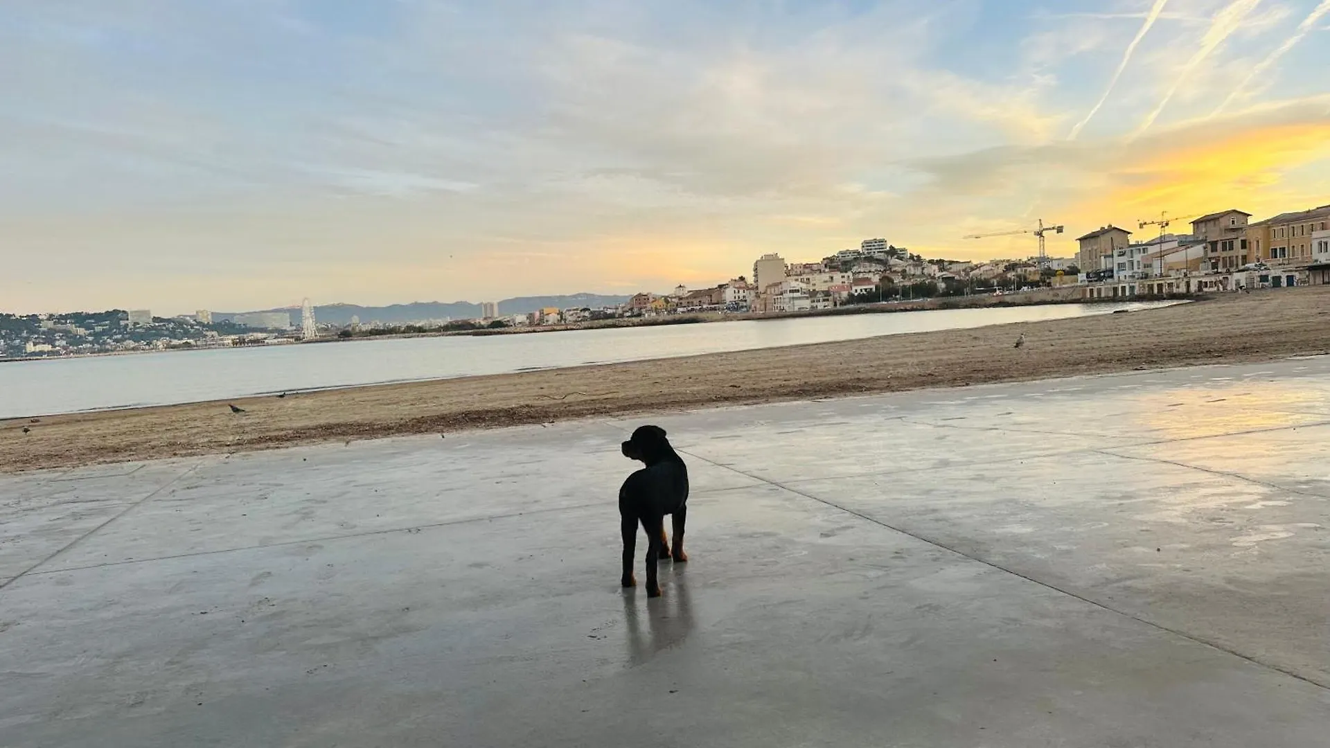 Appartement L’enraguer à Marseille